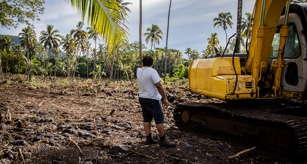 Meteorologist turned farmer takes on tree pests