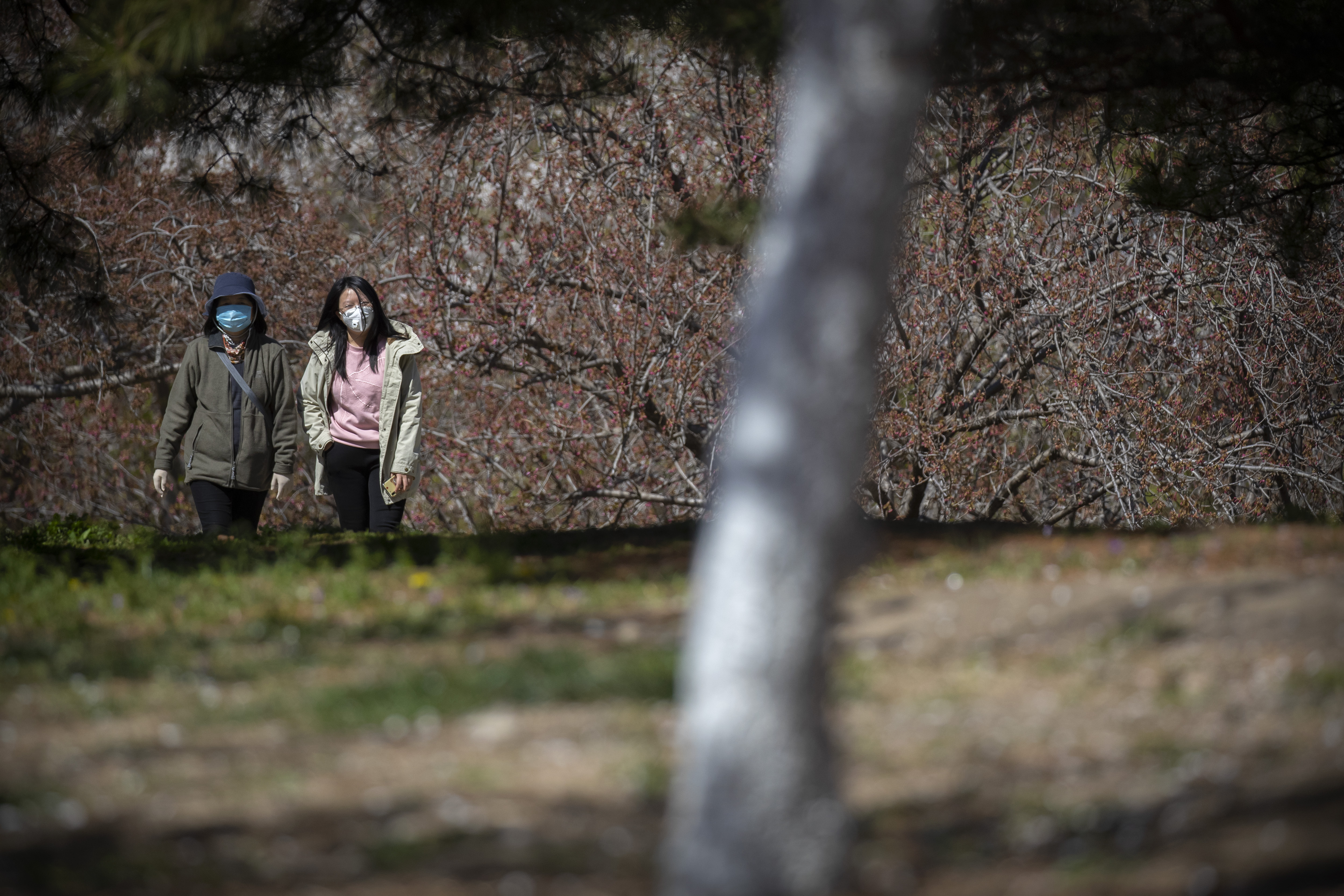 The Latest: China to honor those impacted by coronavirus