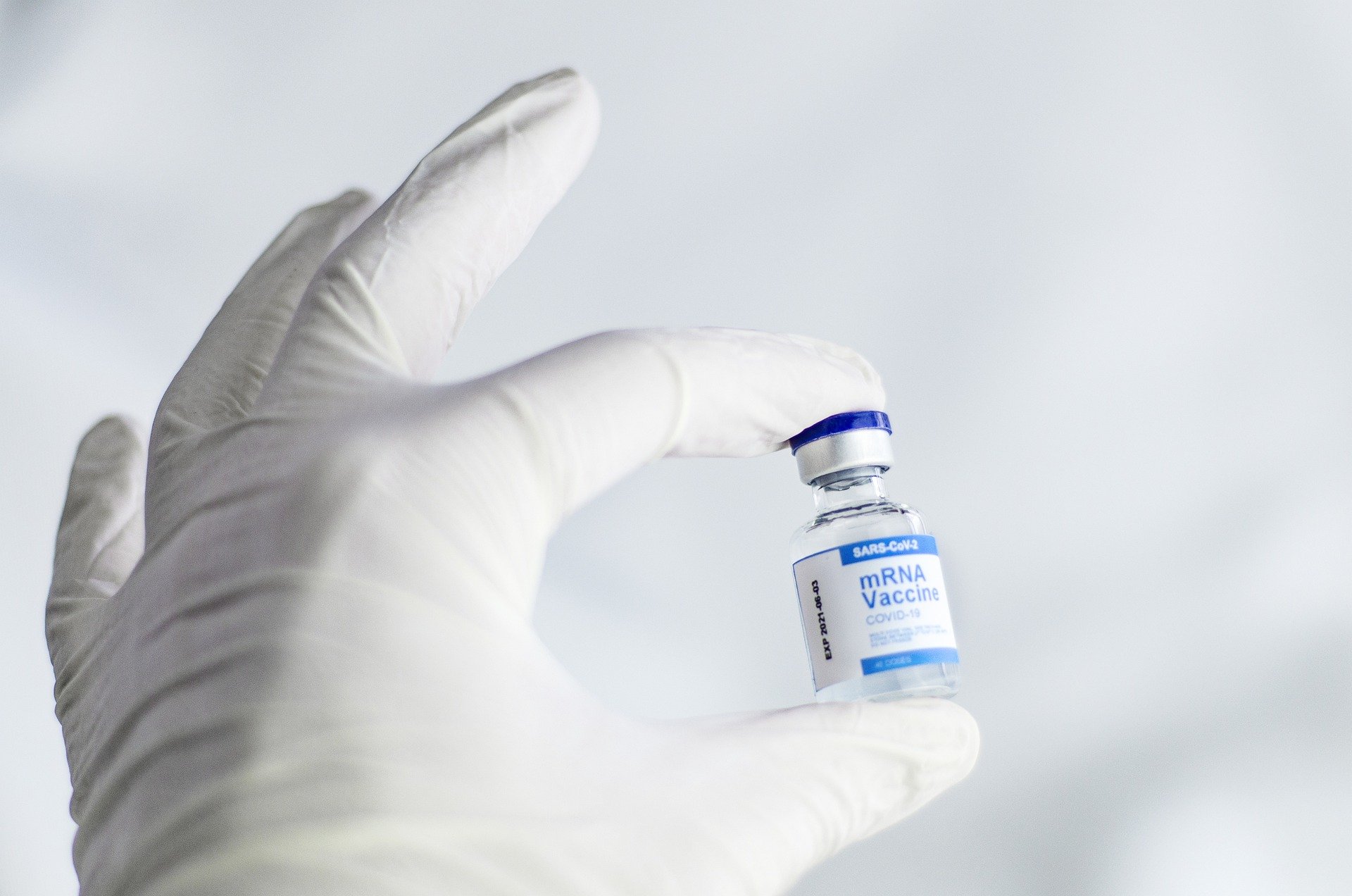 Samoans in N.Z. urged to get vaccinated