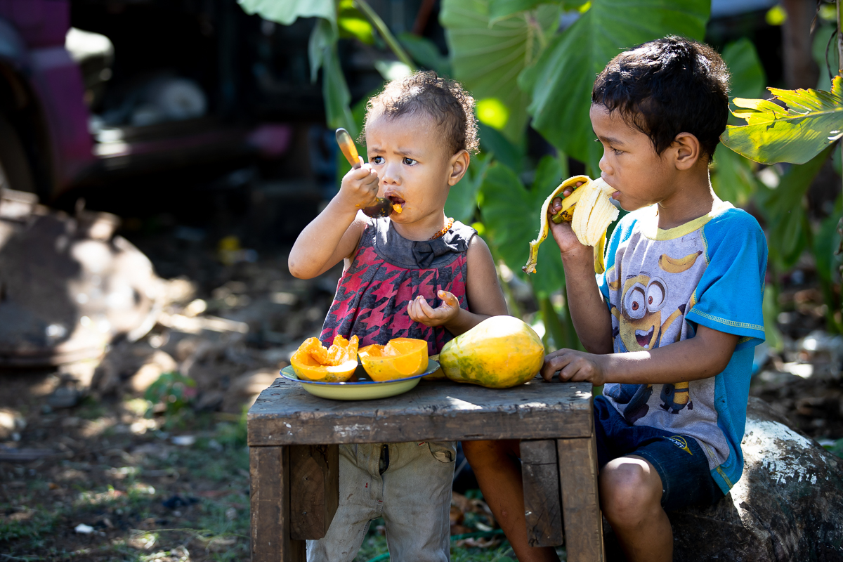 Governments urged to take nutrition lead