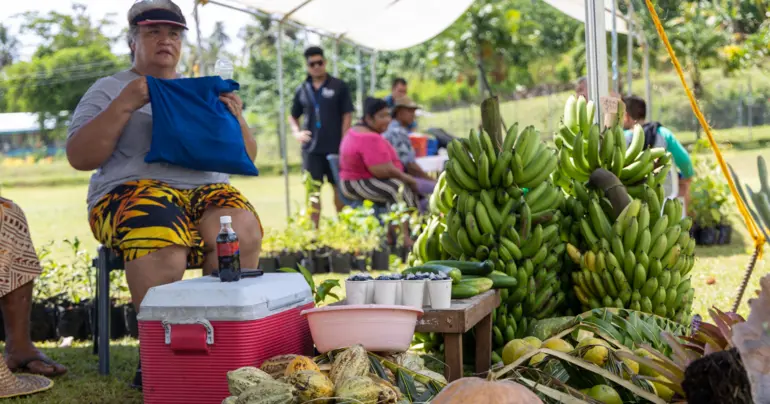 Following a whole food plant based diet