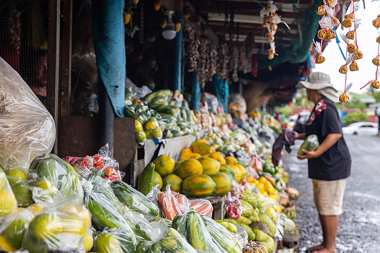How a diet of carrots can fight cancer