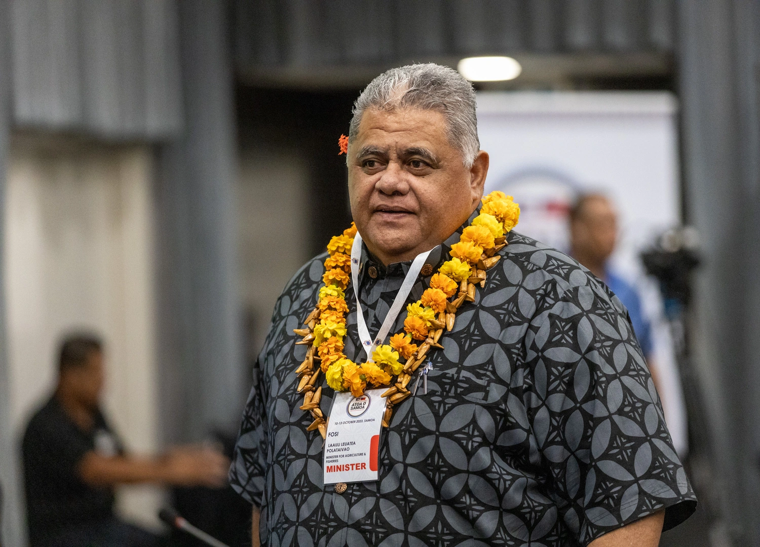 La'auli wants overseas experts 