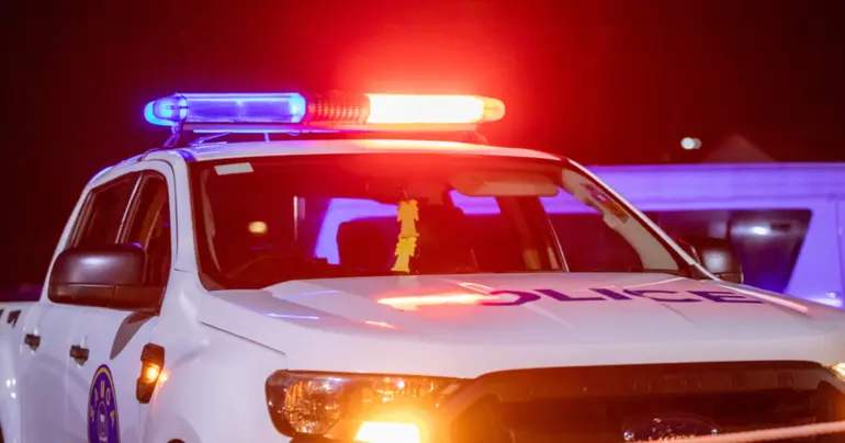 Mother of seven dies in a car crash