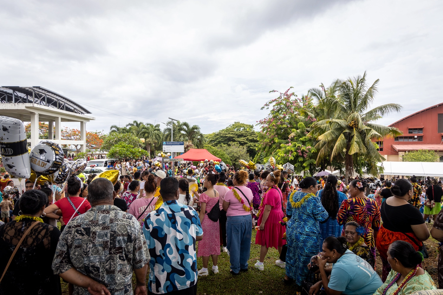 Proposed education diploma to start in 2025 