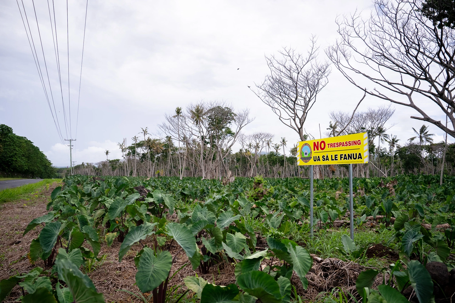Rural farmers struggle with costs and weather