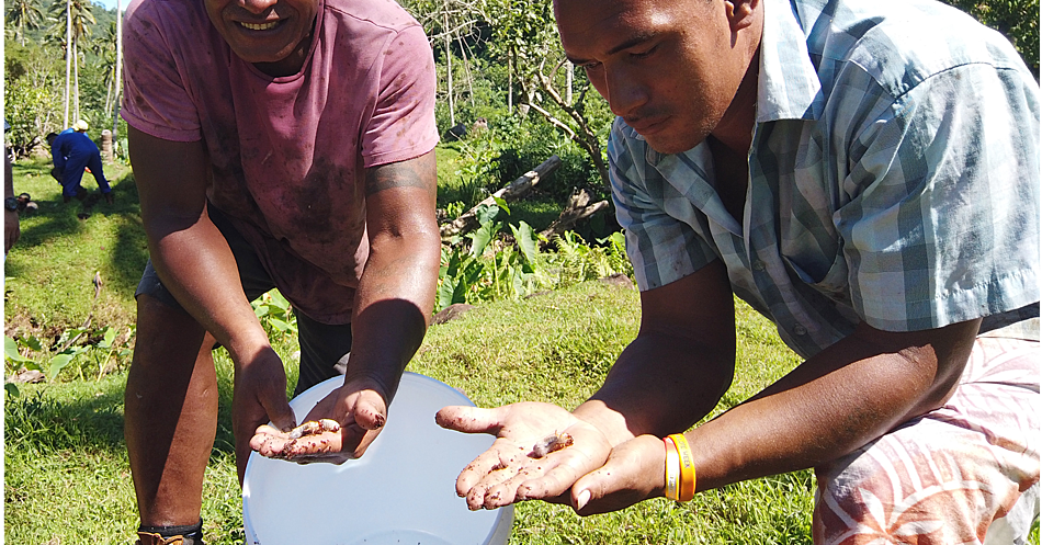 Conservation Society calls for invasive species alert