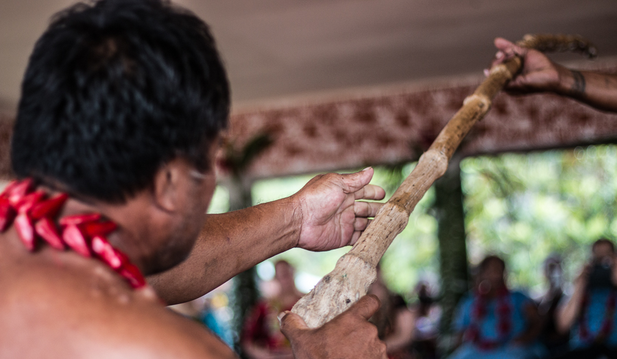 L.T.C. bills rushed, lack consultation, matai argue
