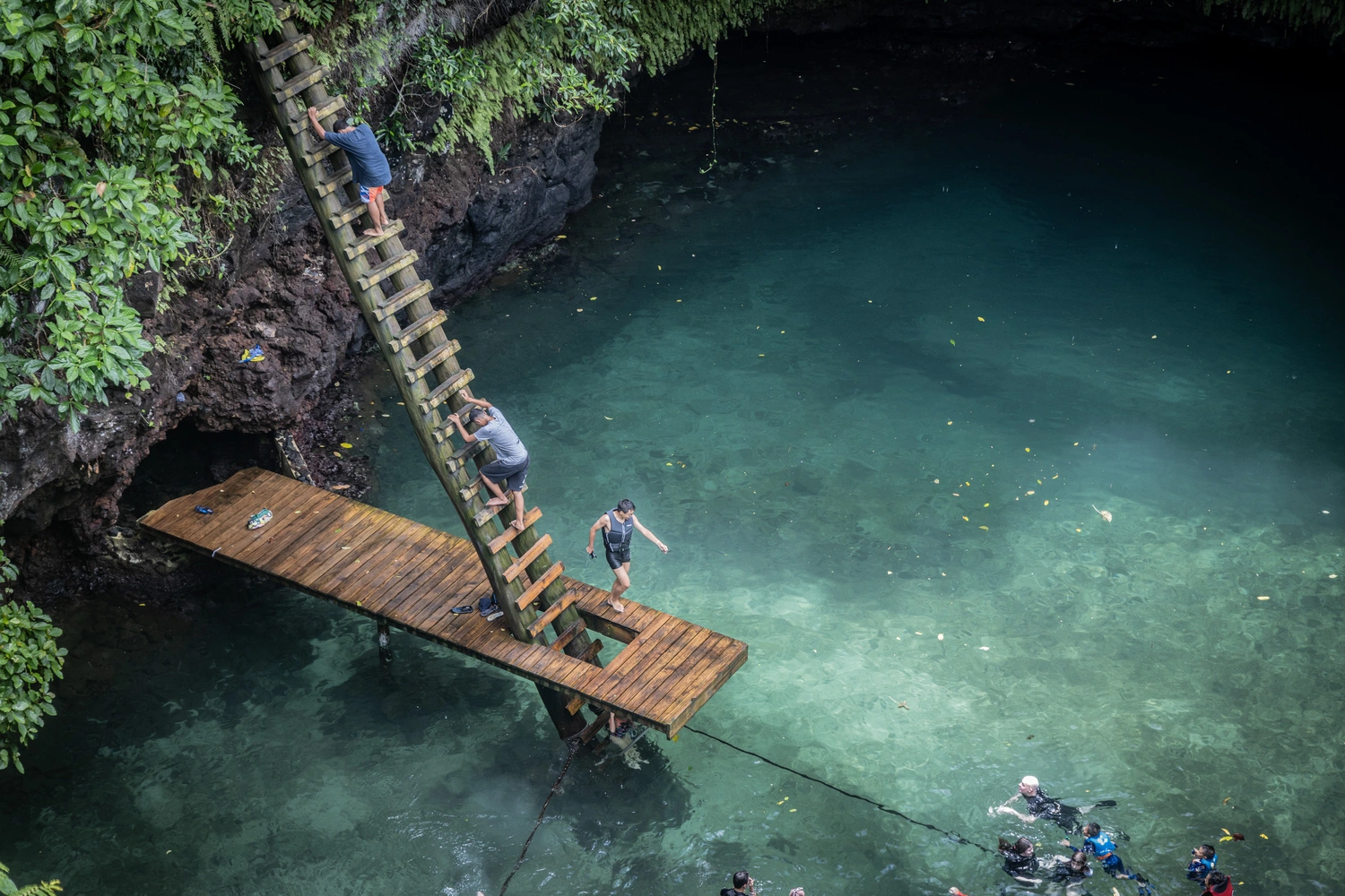 To Sua safe claims owners