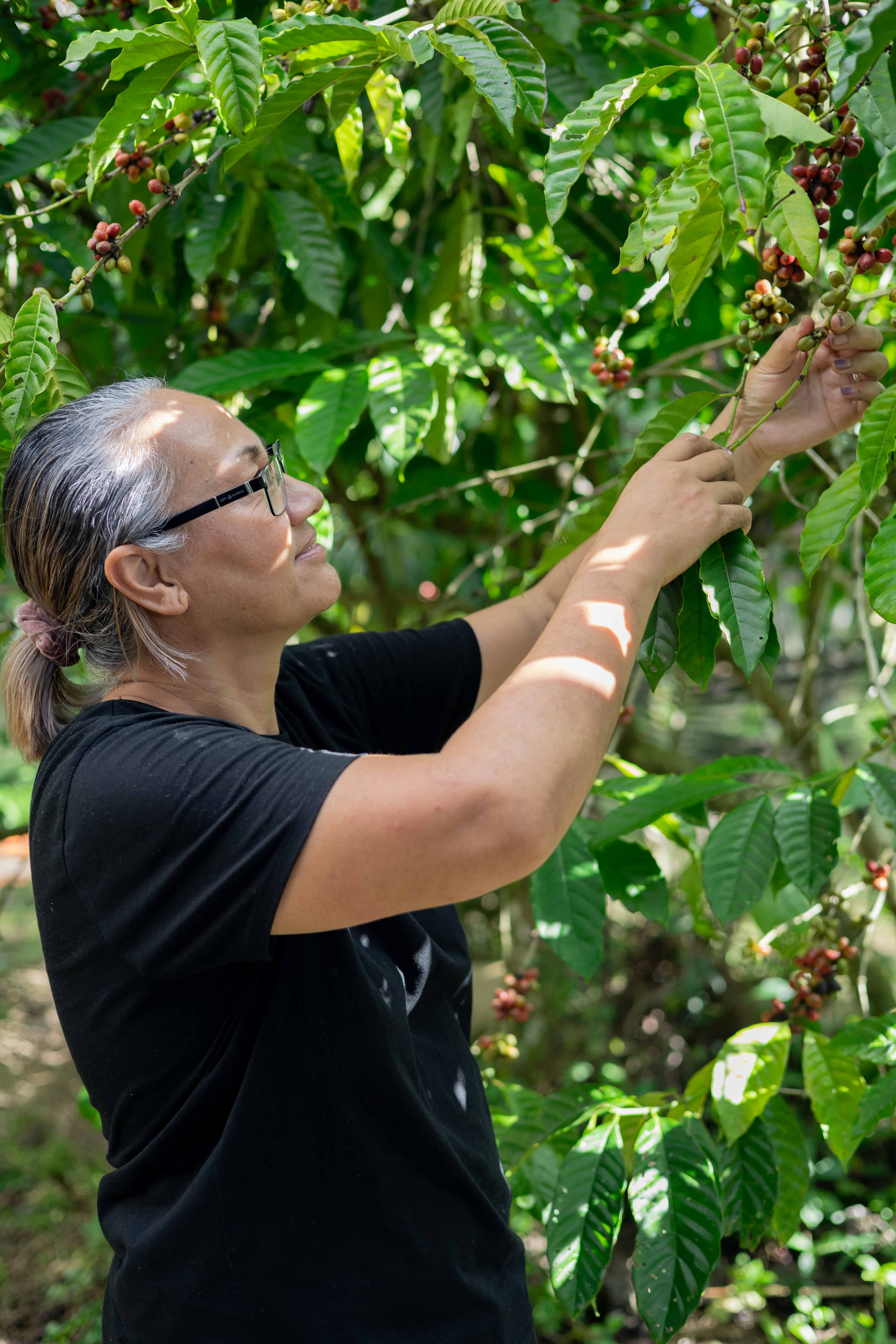 Aleisa Coffee sets sights on the future