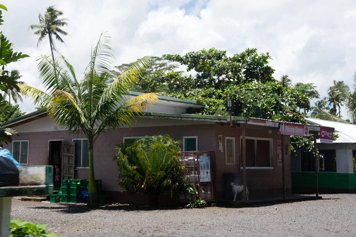 Man fighting for life in Falefa shooting