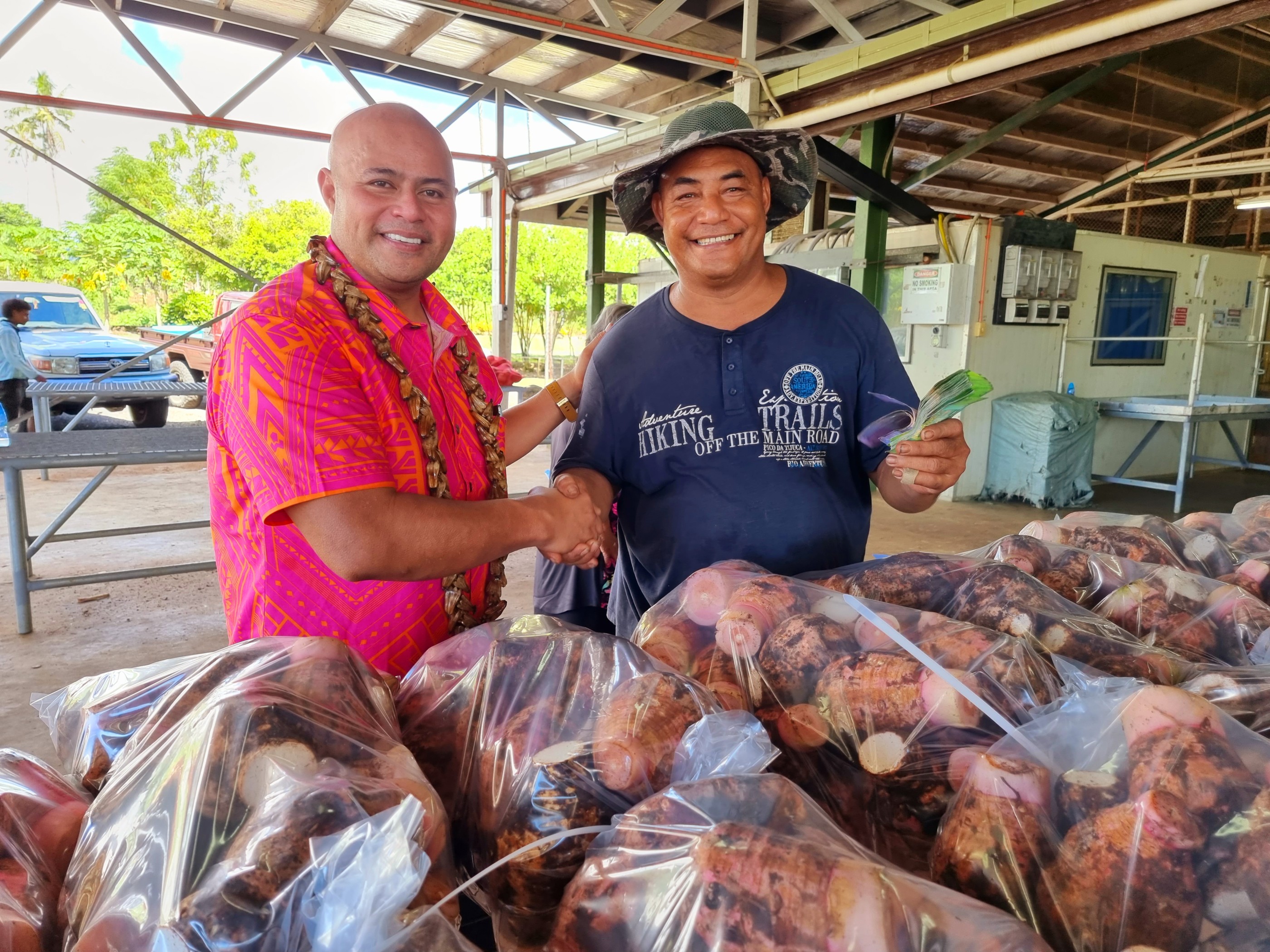 N.Z. taro exports bring smiles to farmers