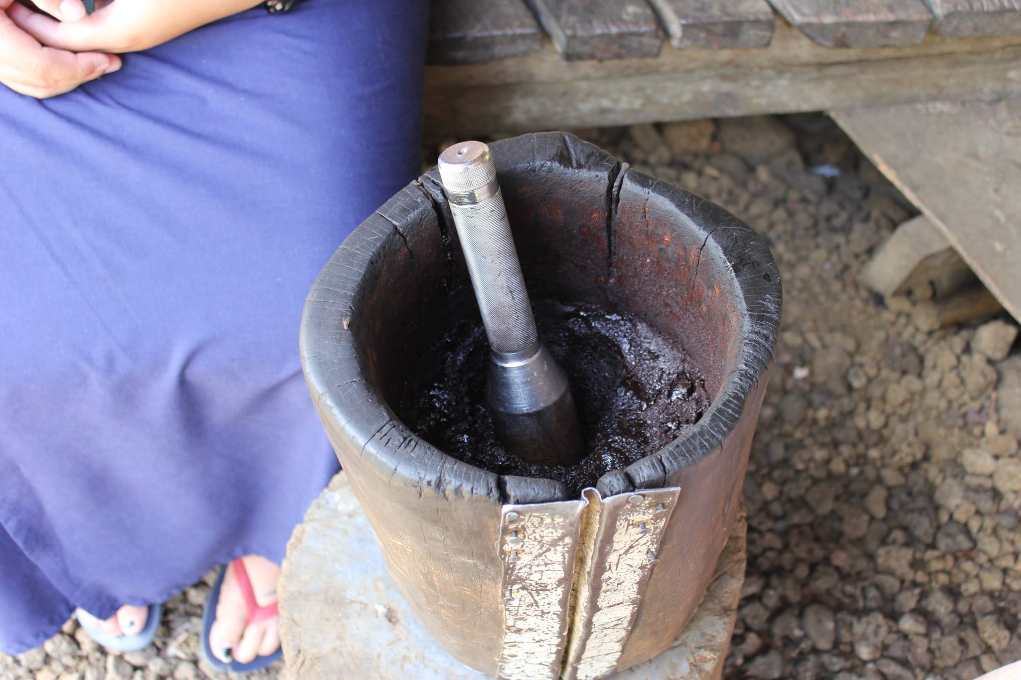 Living Koko calls for agriculture revolution