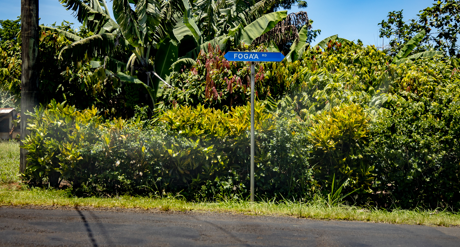 Street sign and address project commences