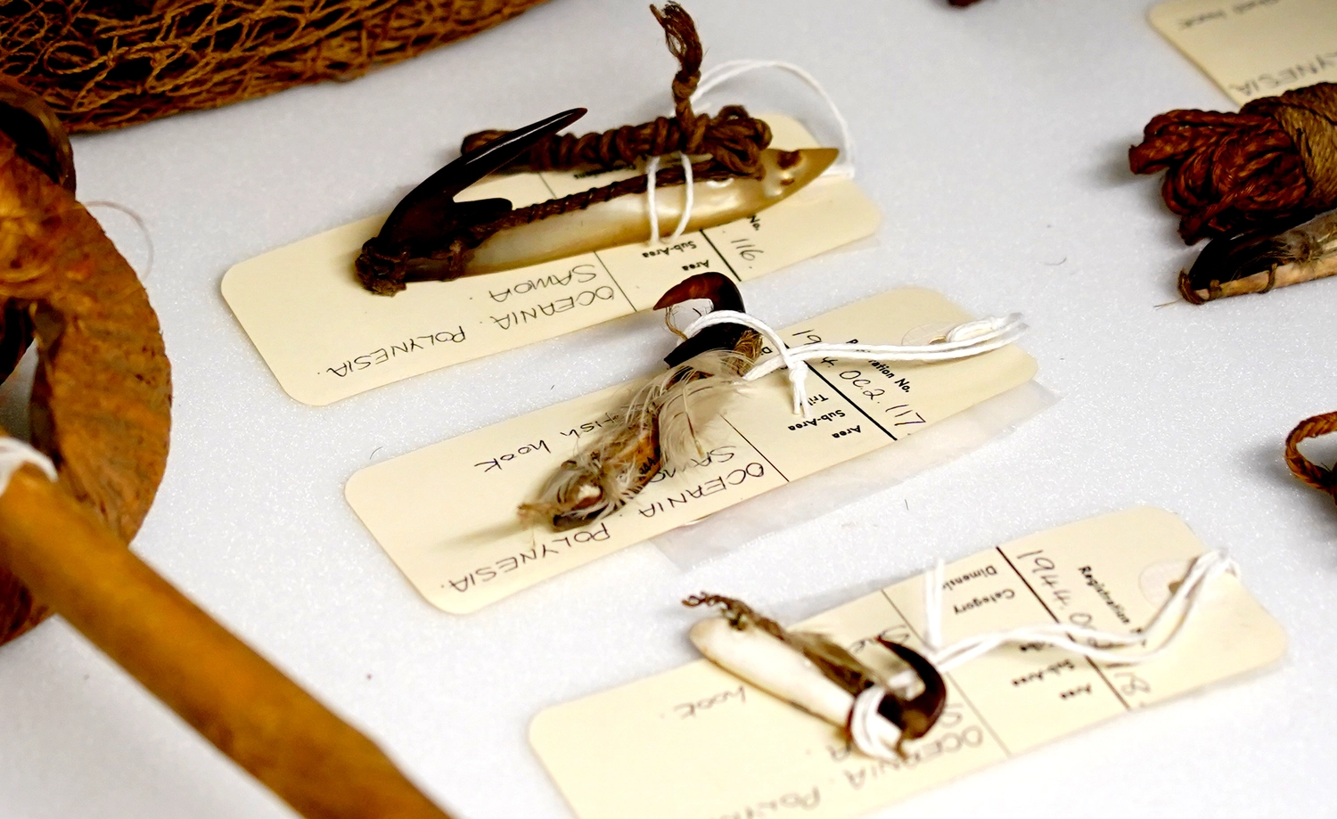 The traditional Samoan lure on showcase