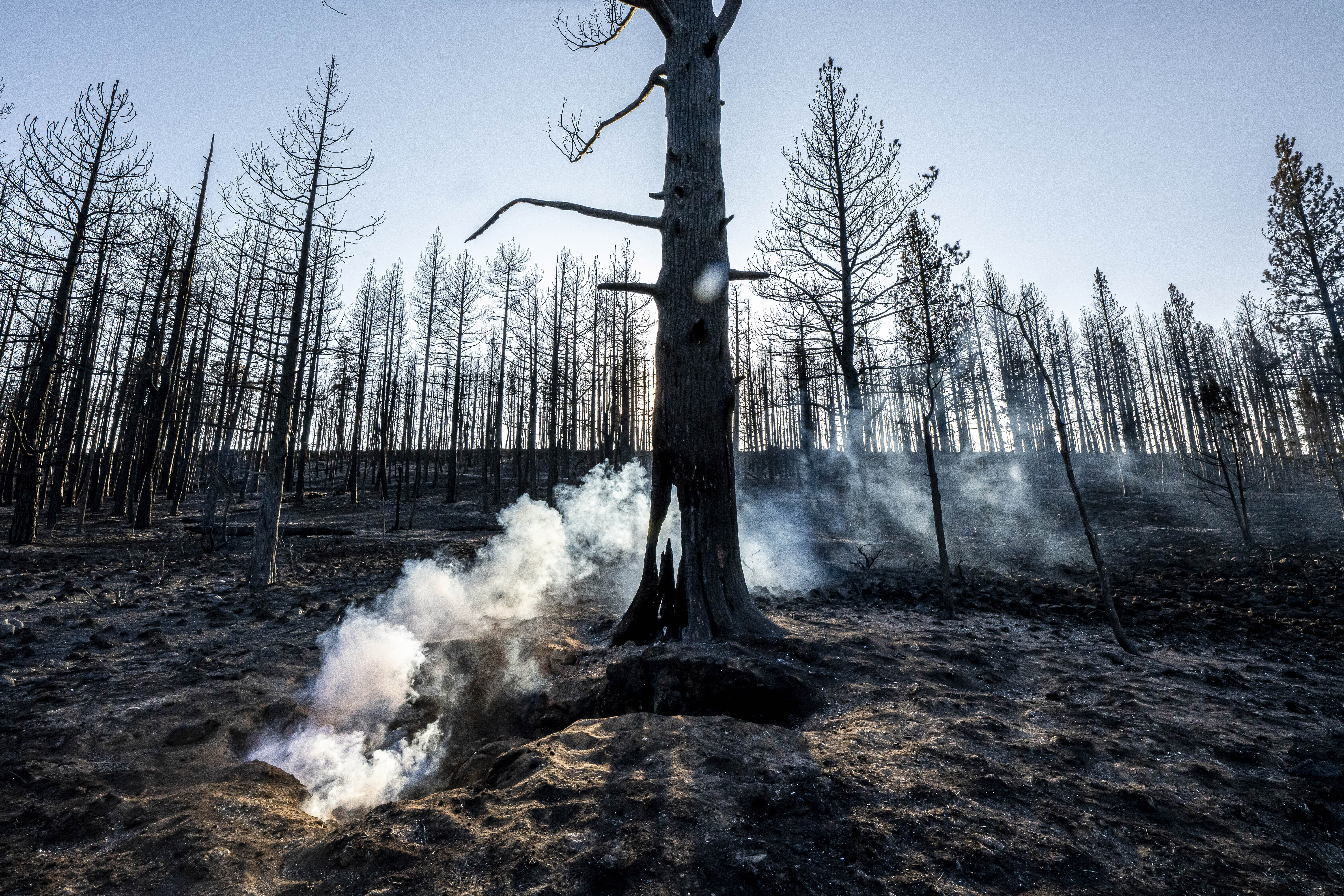Western wildfires grow, but better weather helps crews