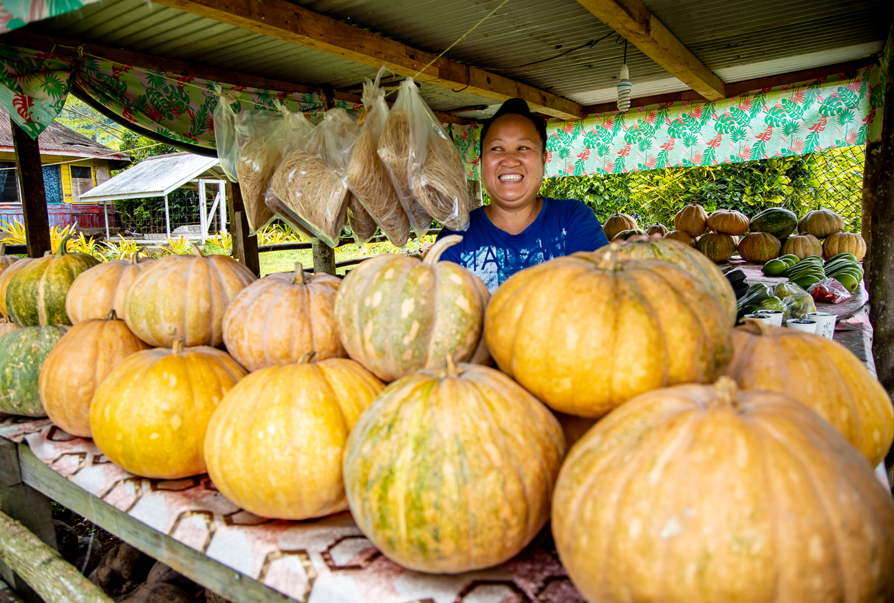 Life's successes as a pumpkin farmer