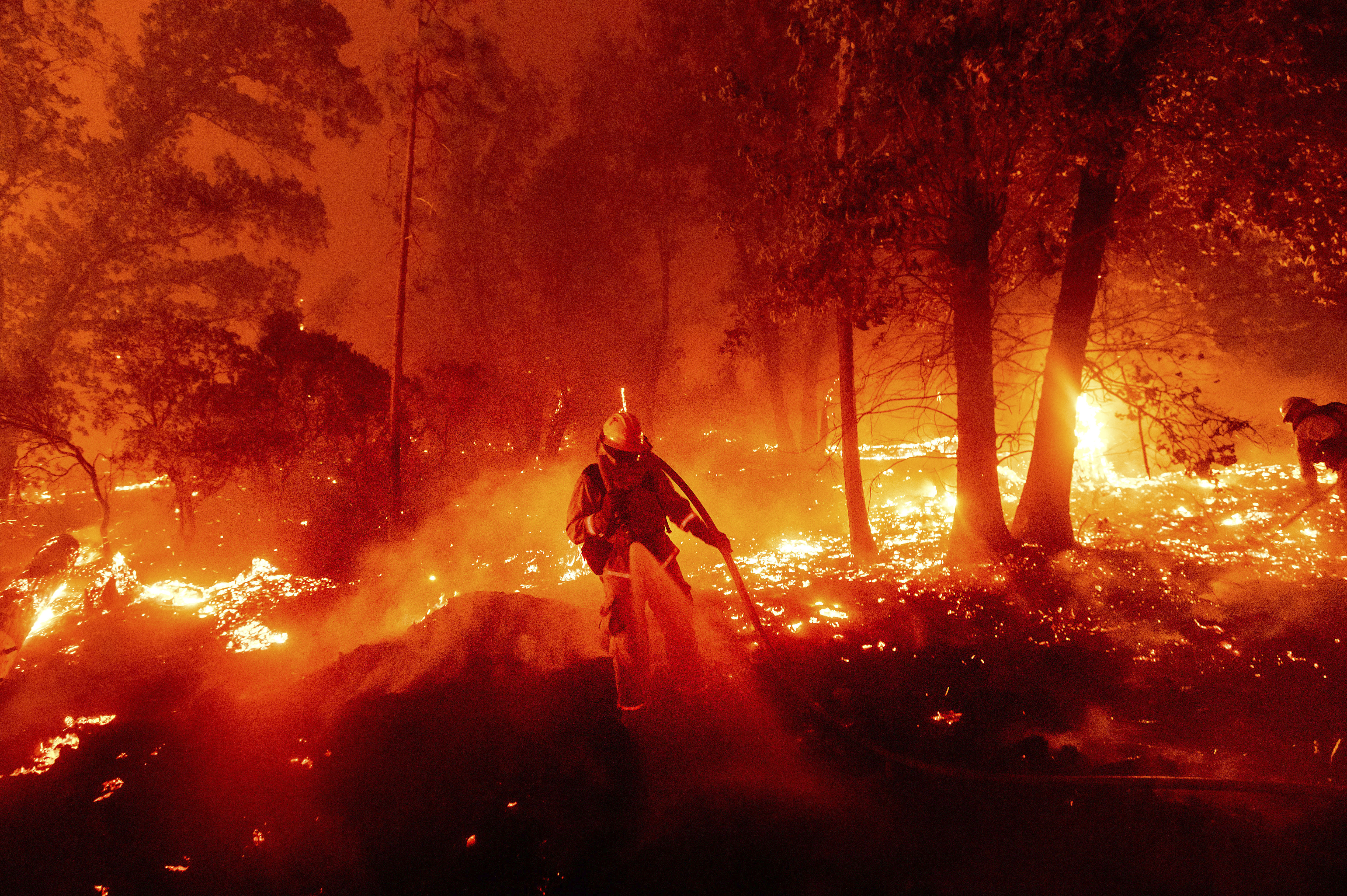 Scorched earth: Record 2 million acres burned in California 