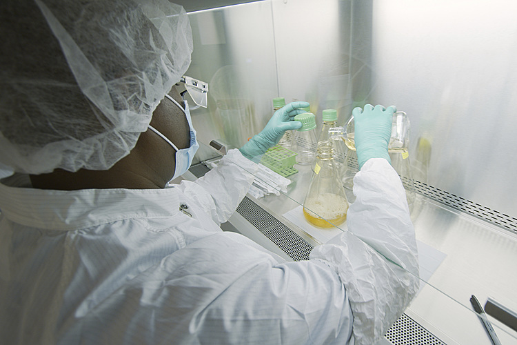 The Latest: Eli Lilly asks U.S. for emergency antibody use