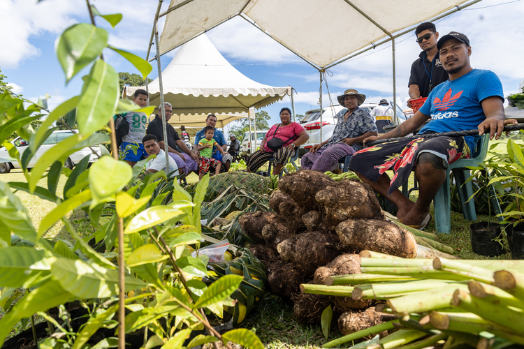 The ‘longevity hormone’ is higher among vegetarians