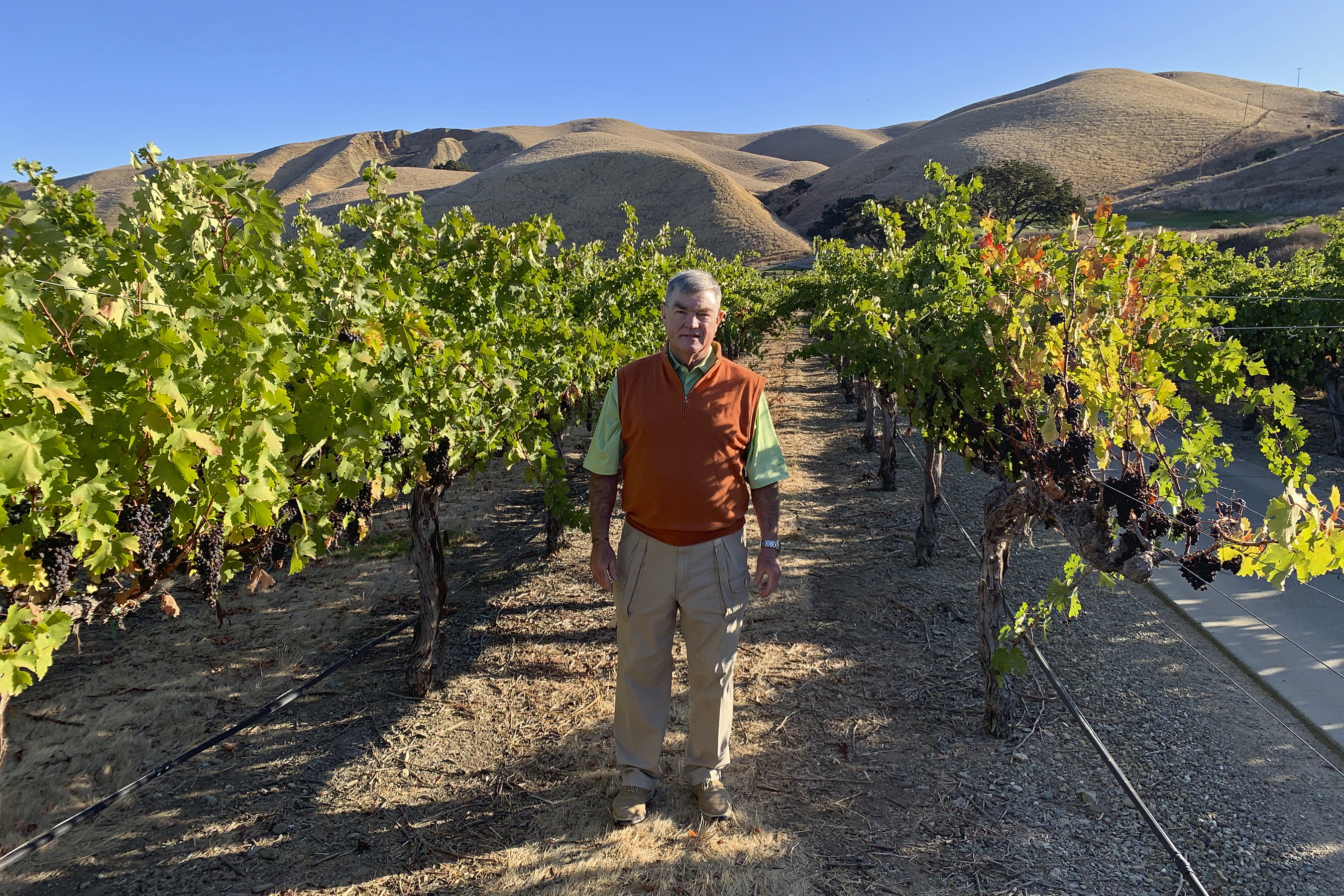 Sour grapes: Trade war puts cork in US wine sales to China