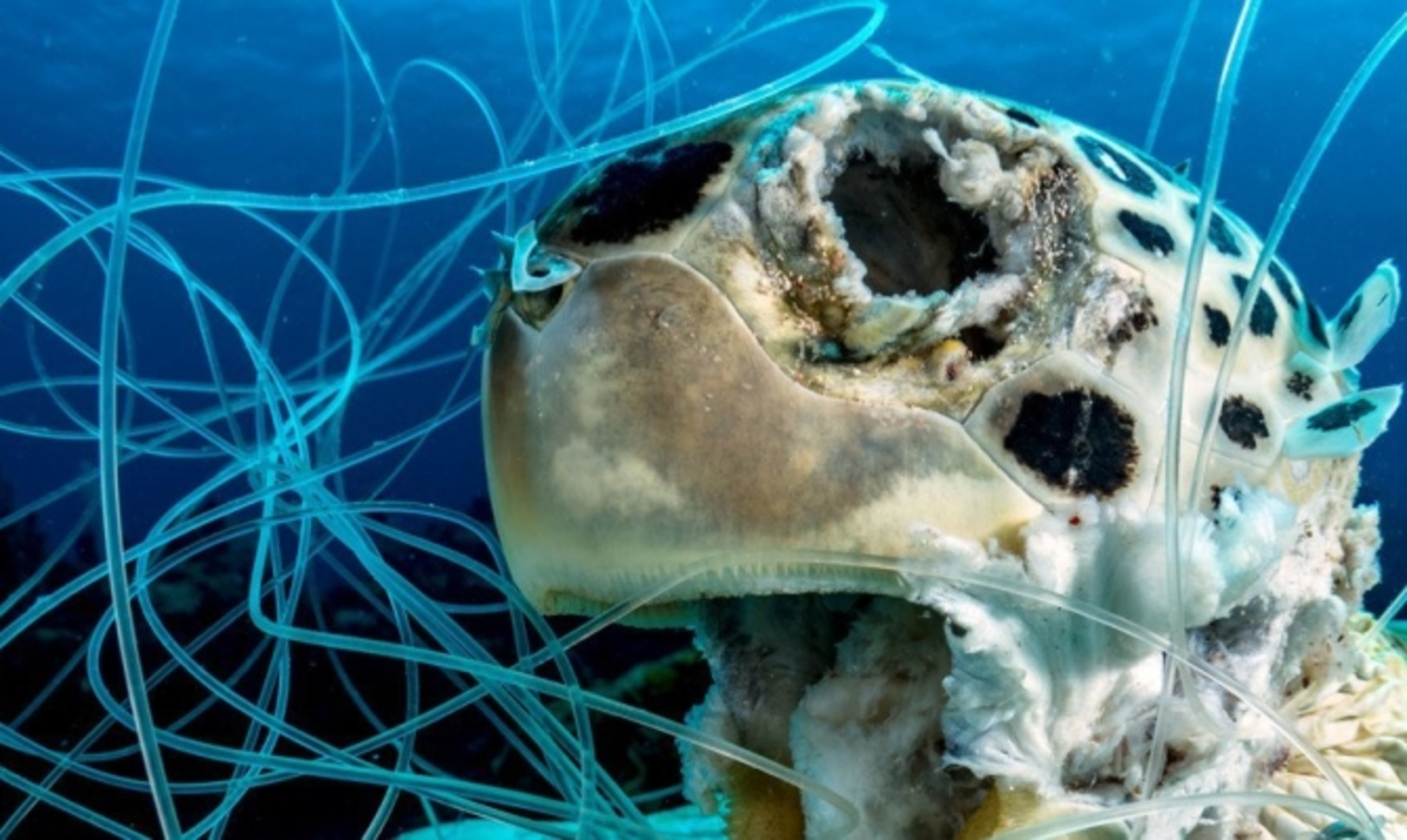 SPREP calls for tough laws to deal with Ghost Gear