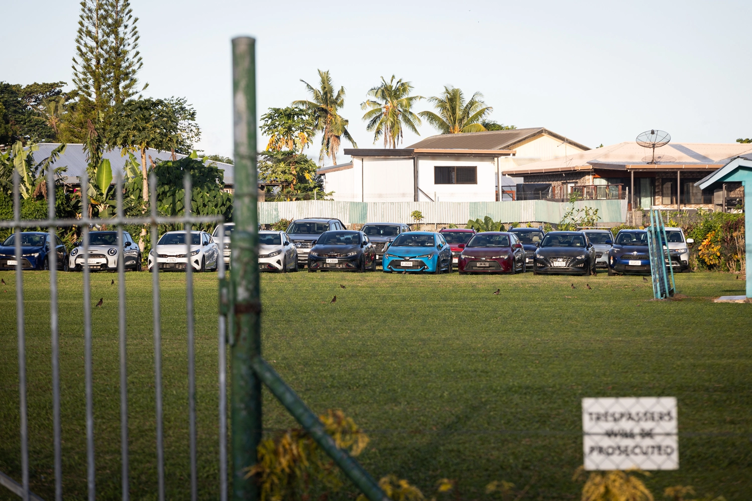 Rental company to surrender cars 