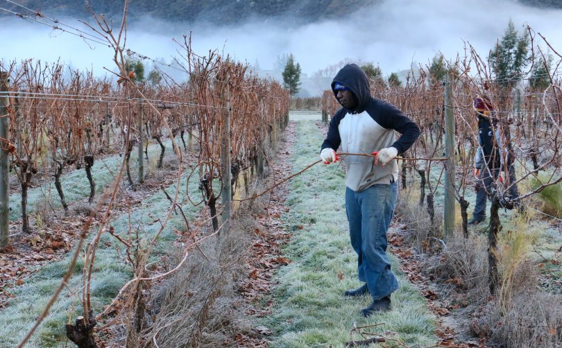Pacific seasonal workers’ participation in the R.S.E. scheme