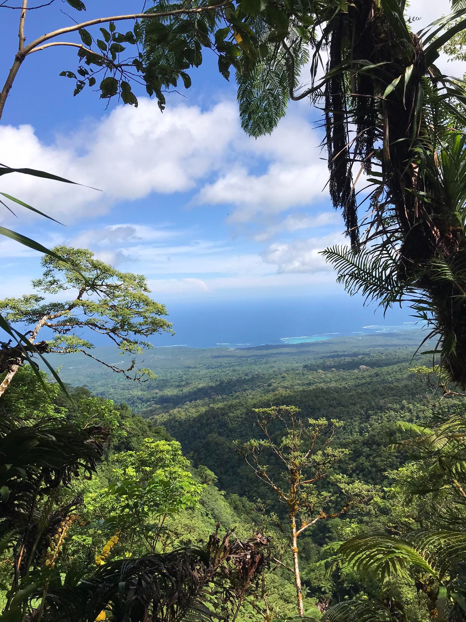 Mt. Fito not the highest point in Upolu 