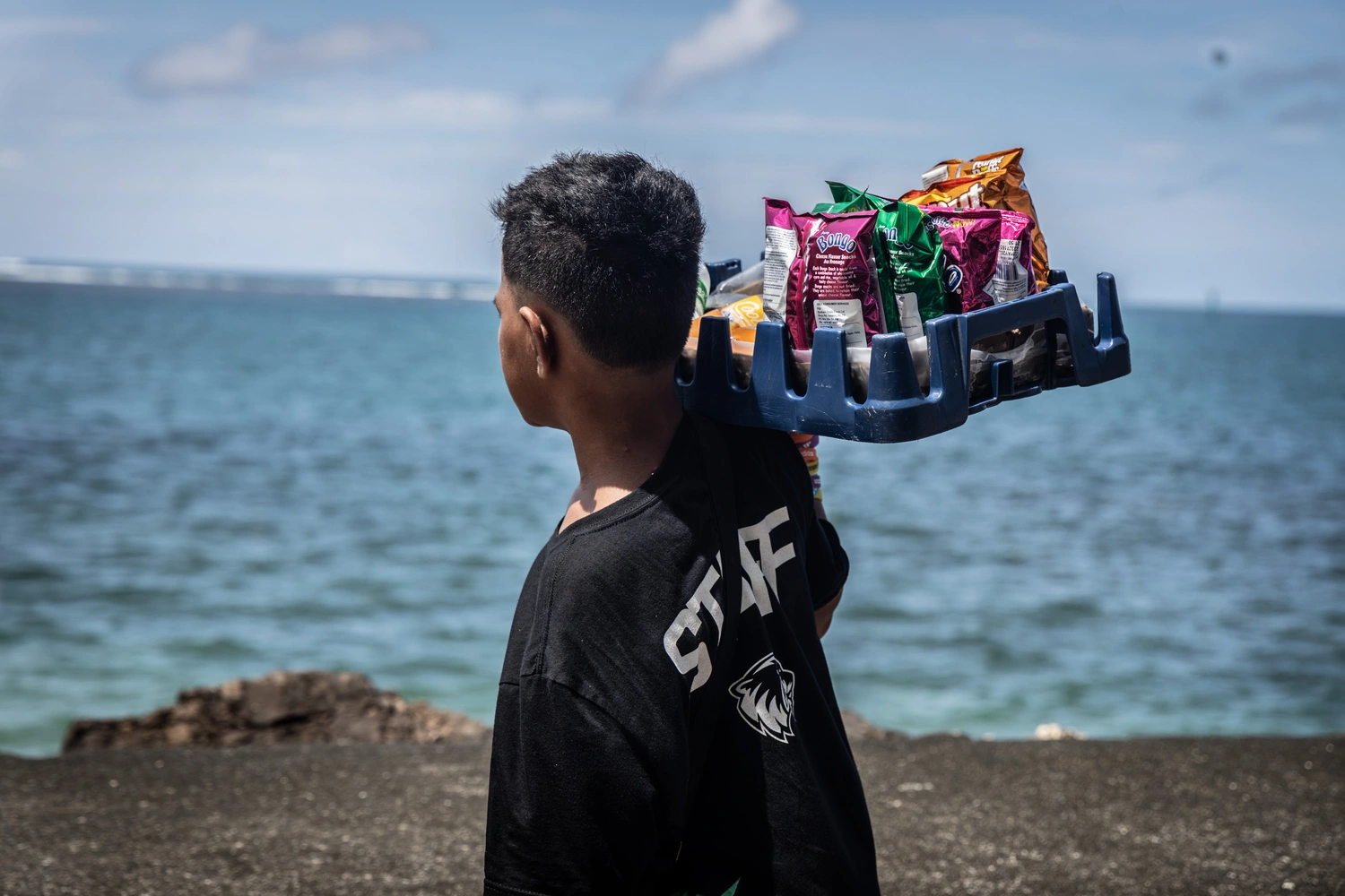 Collier on case studies in state fragility