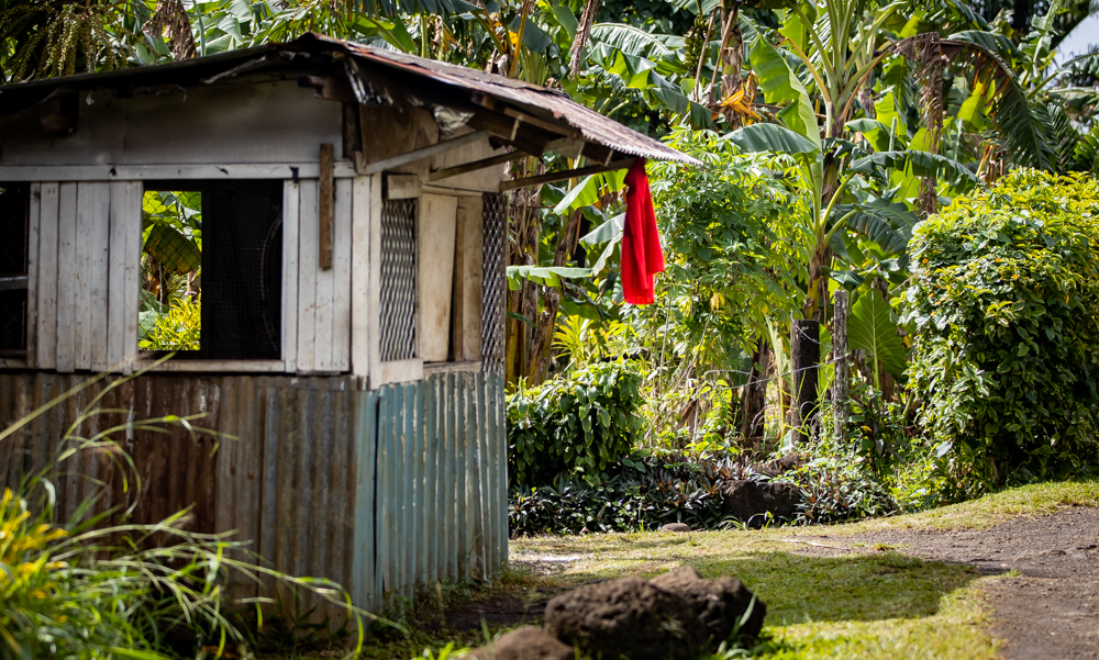 Over 84,000 people receive first dose 