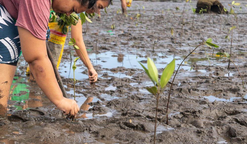 Australian residency part of Pacific climate plan