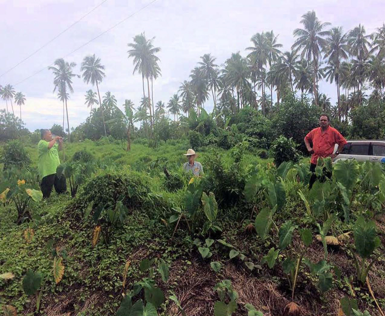 Lidar maps show Samoa's archaeological sites 