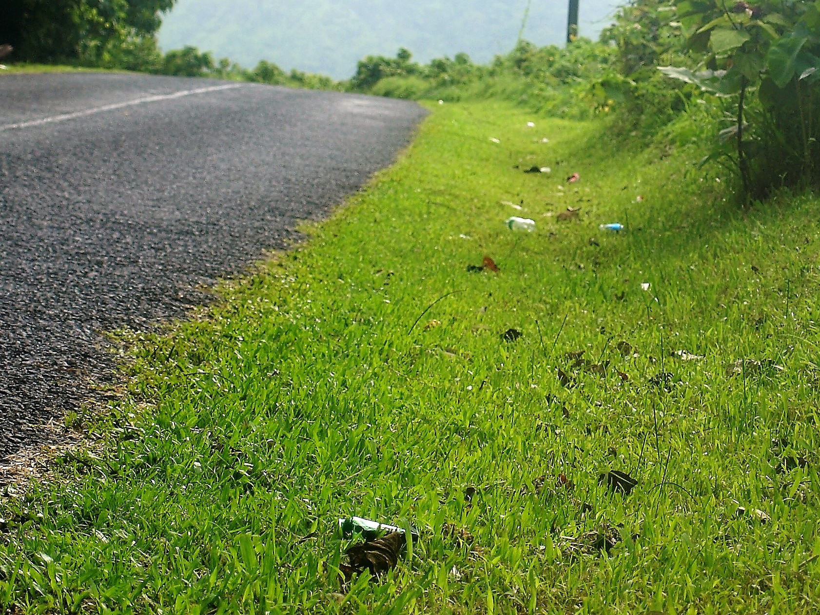 Tahitian tourist not impressed with rubbish