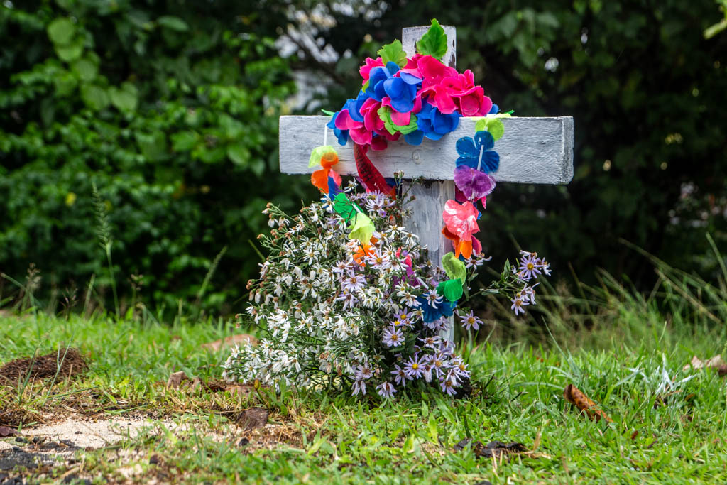 Distraught mother tells of hit-and-run anguish