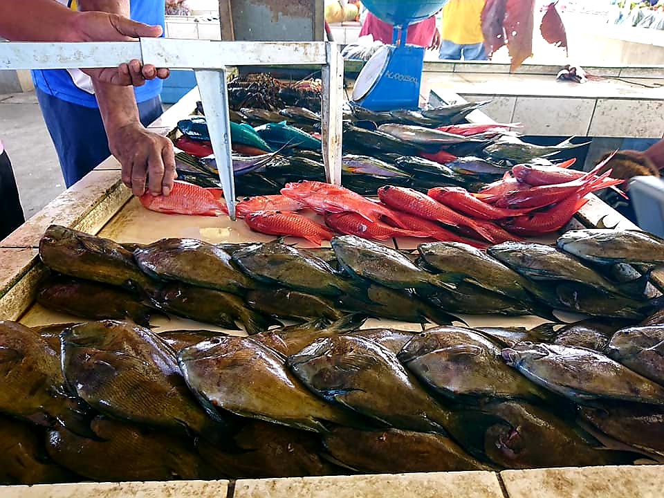 Ministry moves to stop undersized fish catching
