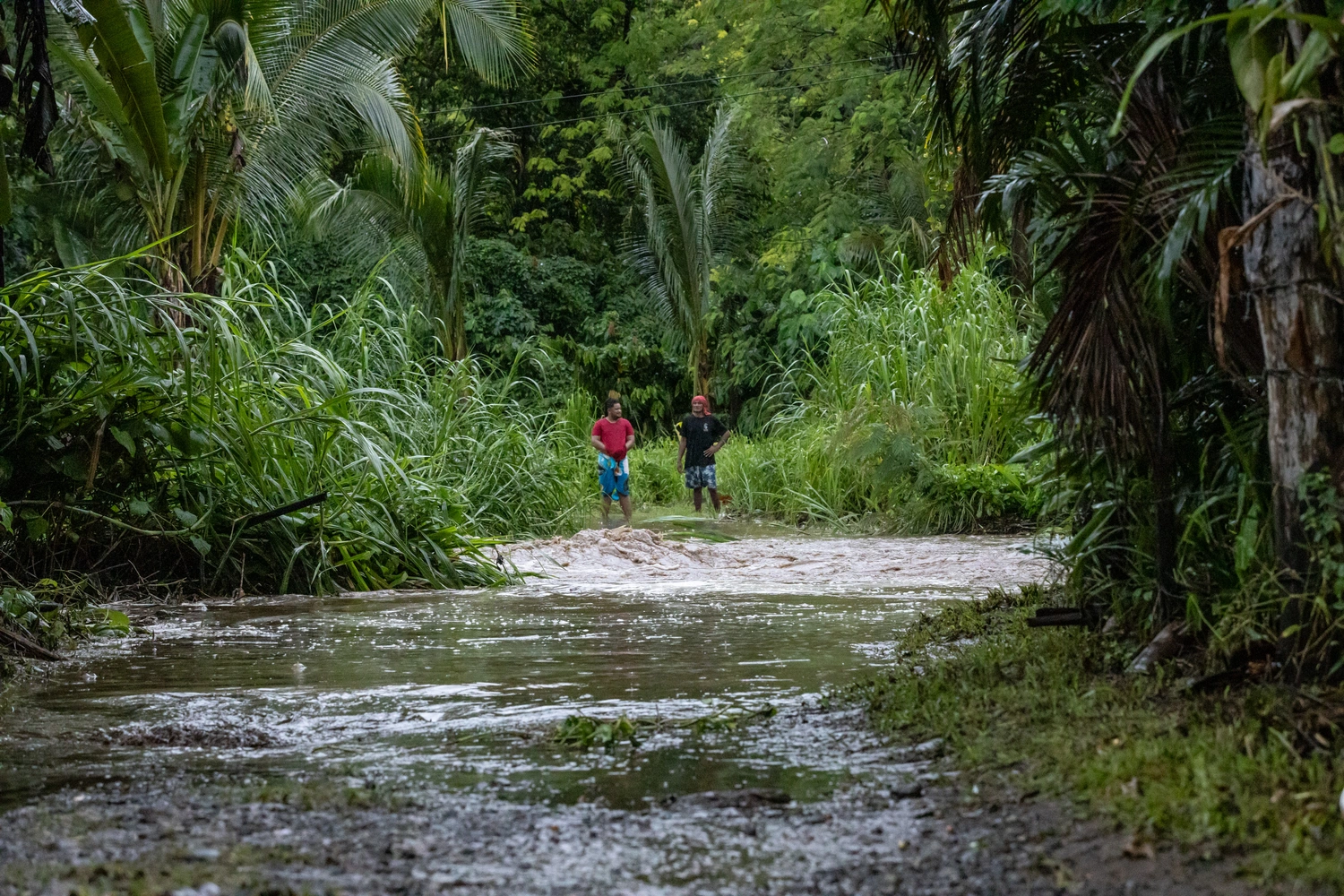 The role of youth in fighting climate change
