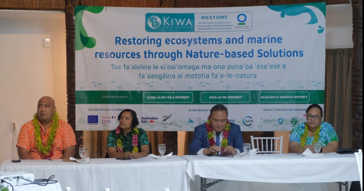 Samoa Observer | More than 12,000 coral fragments planted
