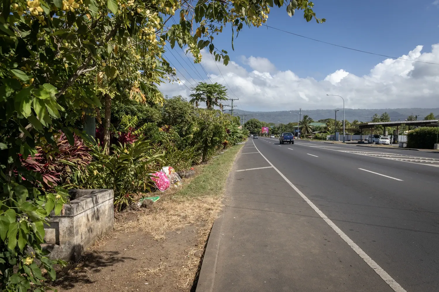 Vailoa hit and run trial starts