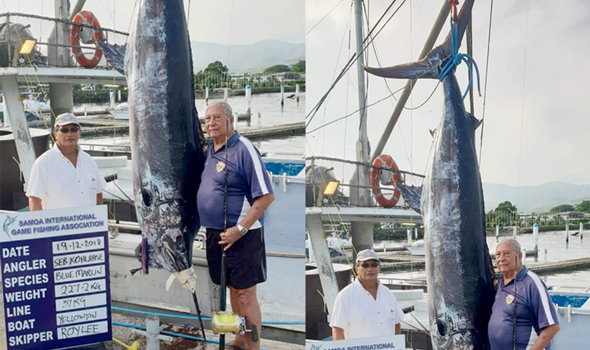 US ally in Syria says pullout will aid IS, Putin disagrees