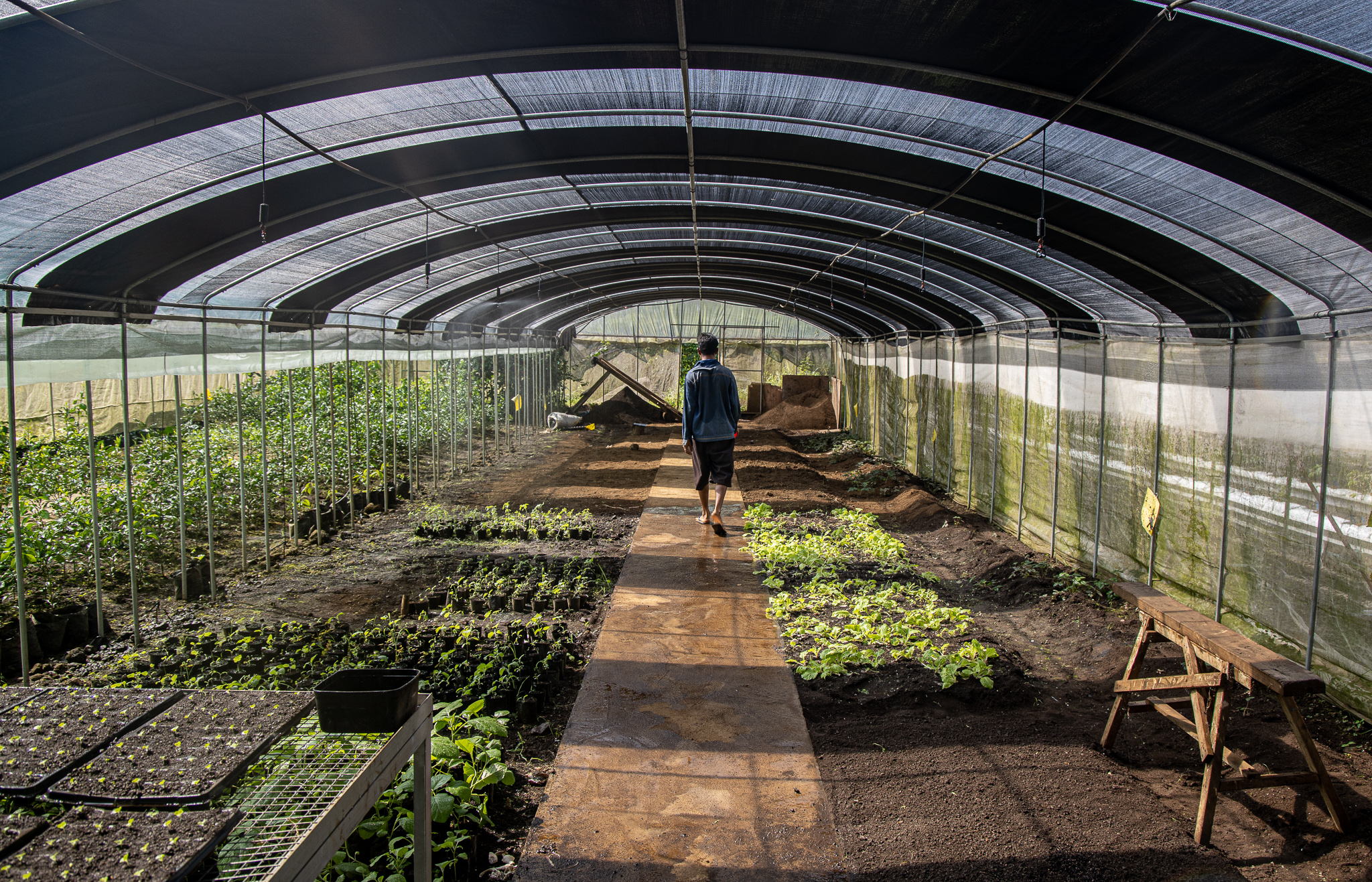 The development opportunities of COVID-19 setbacks 