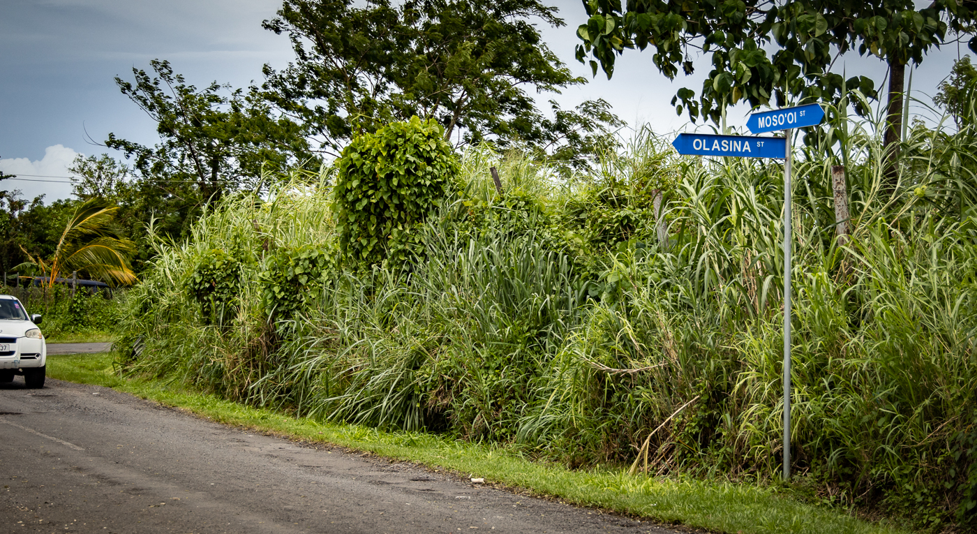 Town signposted by year's end