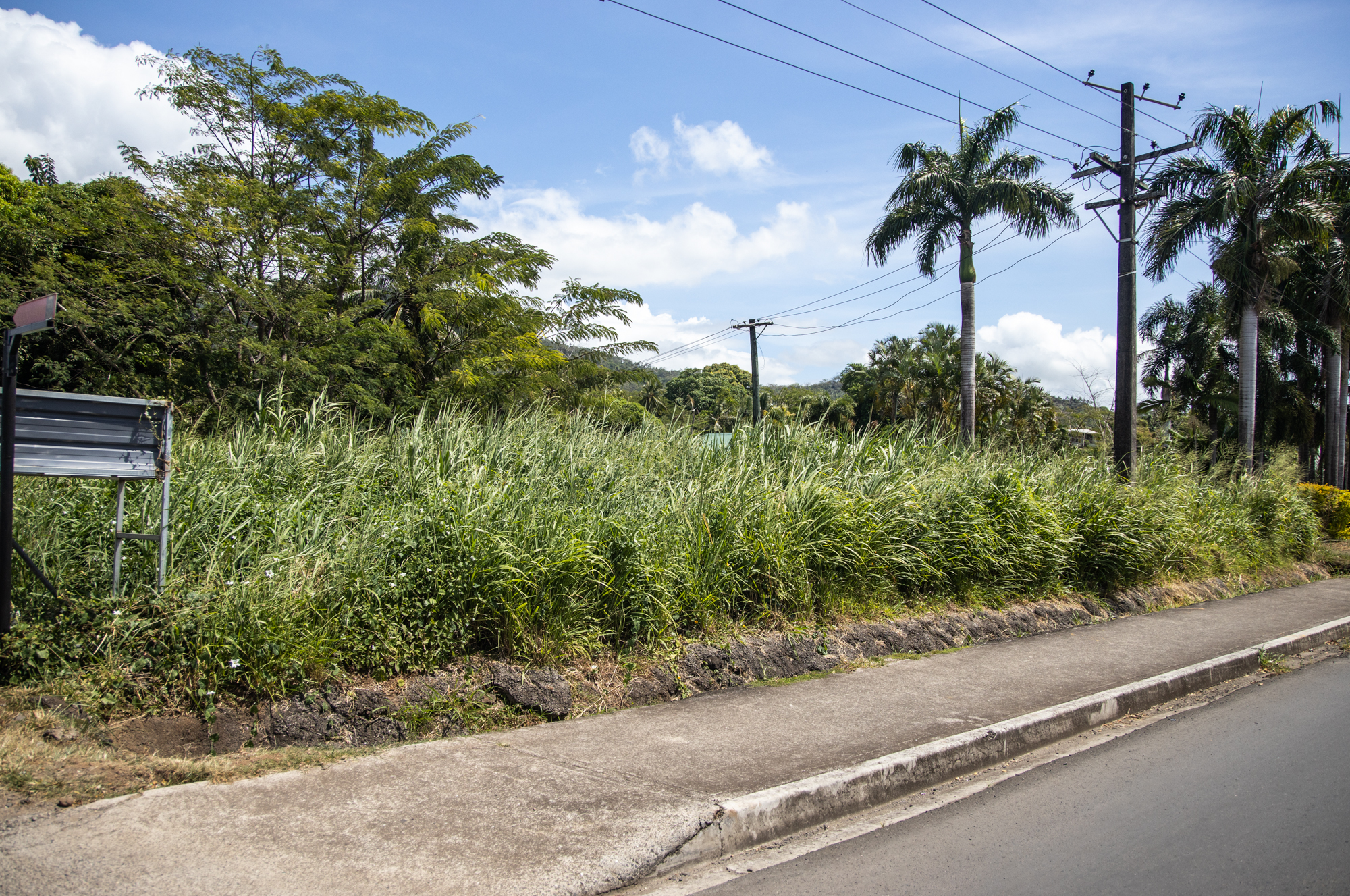 Frankie's newest expansion in Lelata 