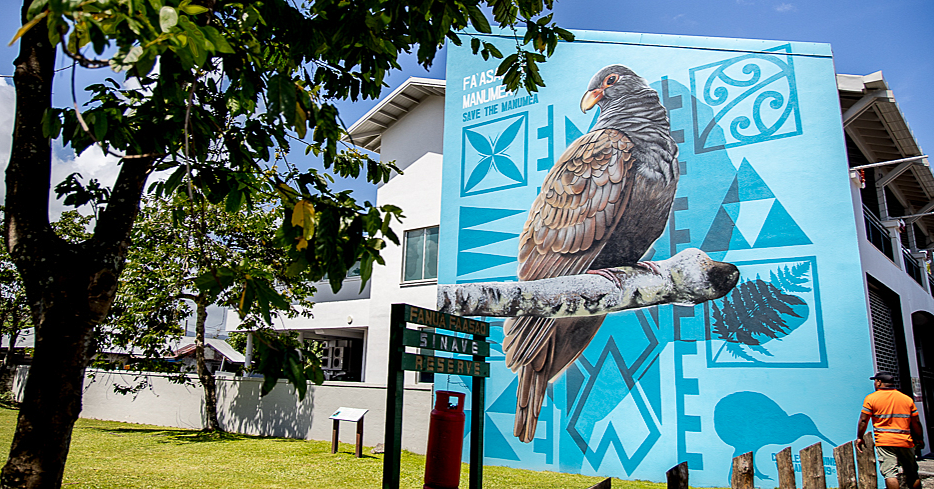 Distinguishing Manumea's call is key, says ecologist