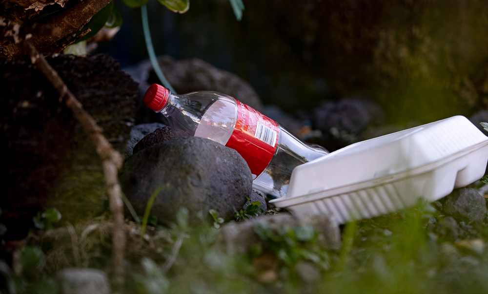 Plastic switch could hurt environment: expert