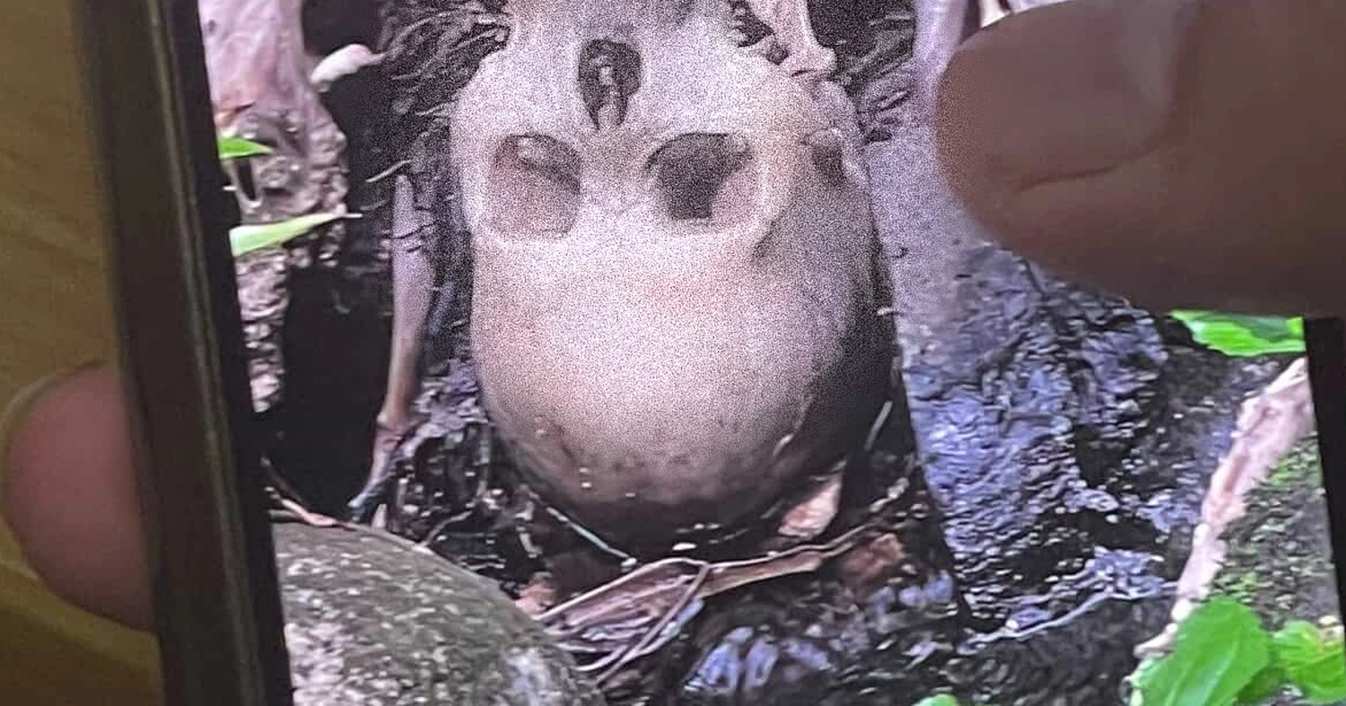 Skeleton identity remains a mystery